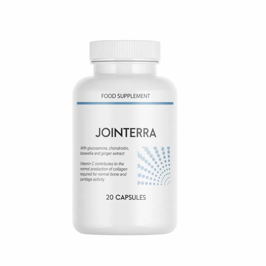 Jointerra — Fotografija 3
